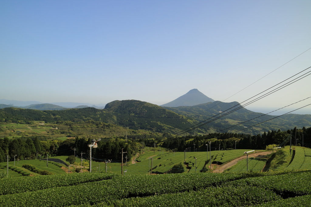大野岳より～山間部の茶