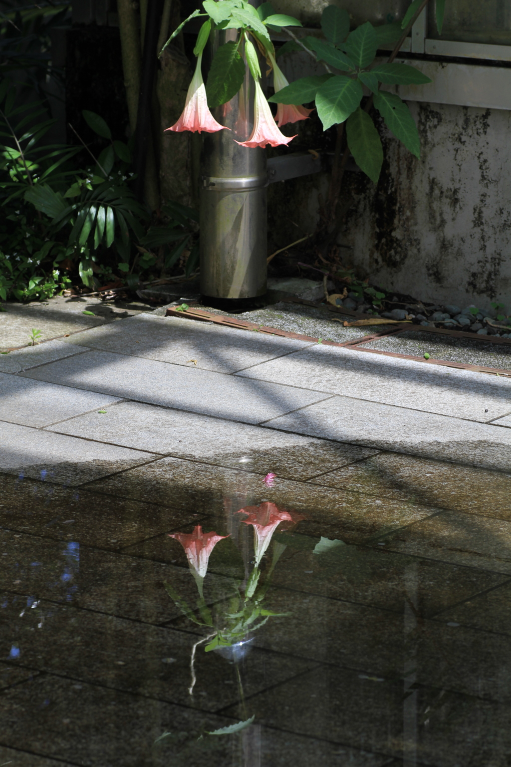 双花