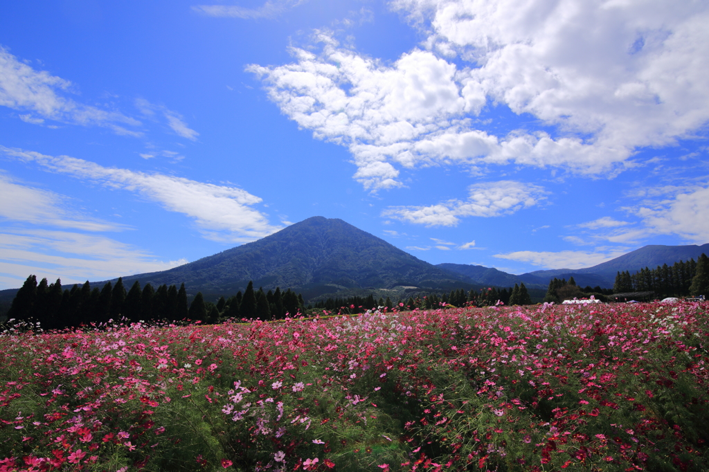 生駒高原の光