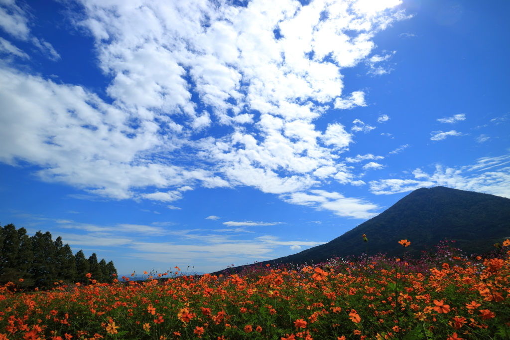 生駒高原の風