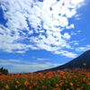 生駒高原の風