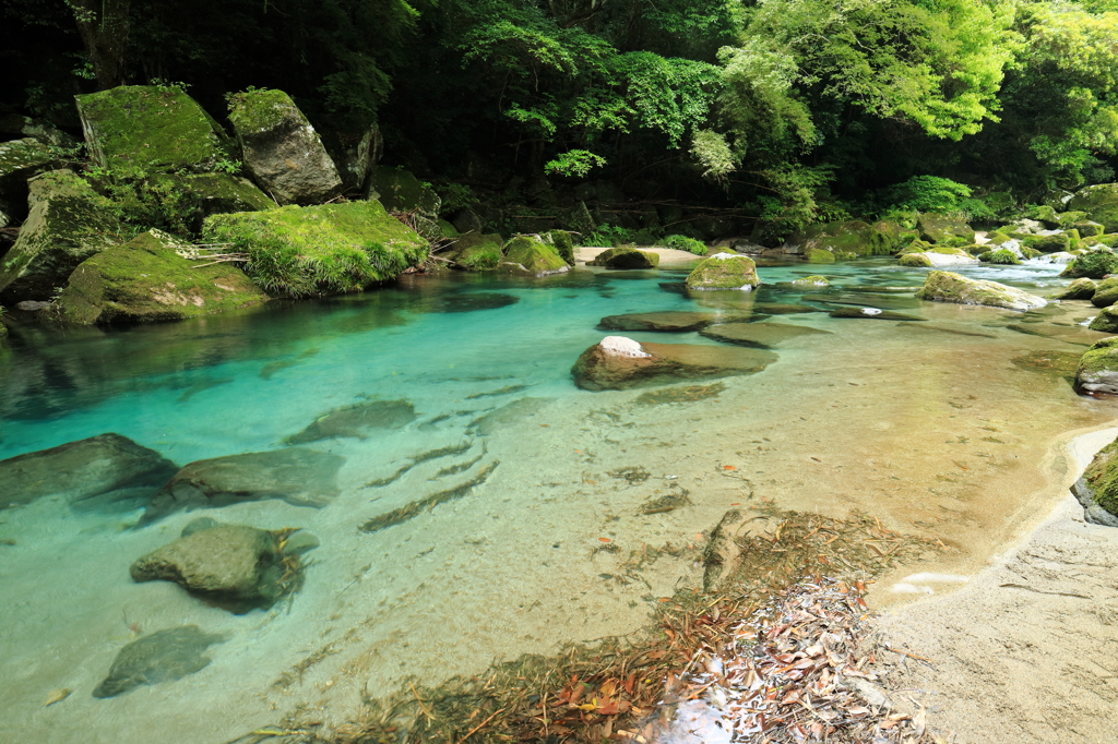 エメラルド～雄川の安らぎ