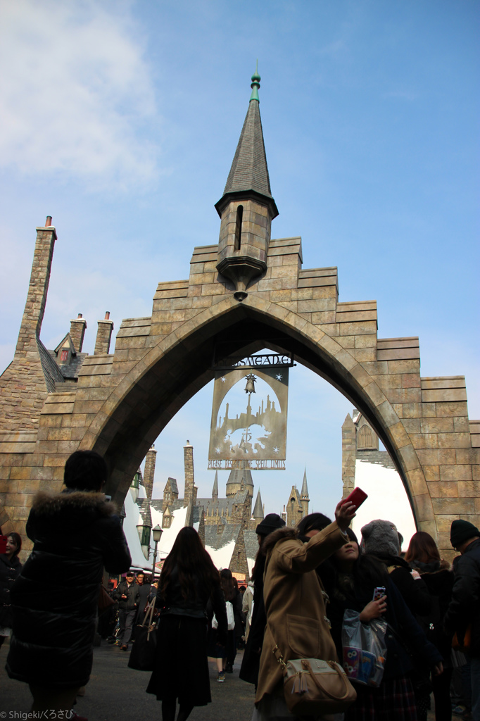 The Wizarding World of Harry Potter 