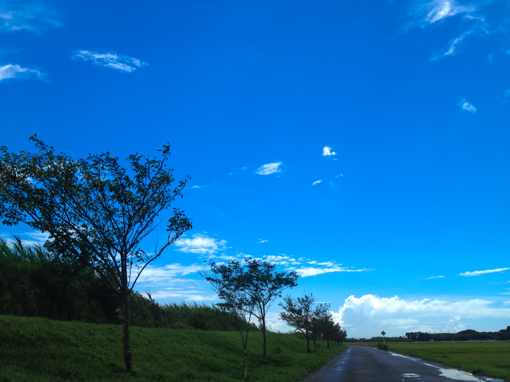 海へ至る道