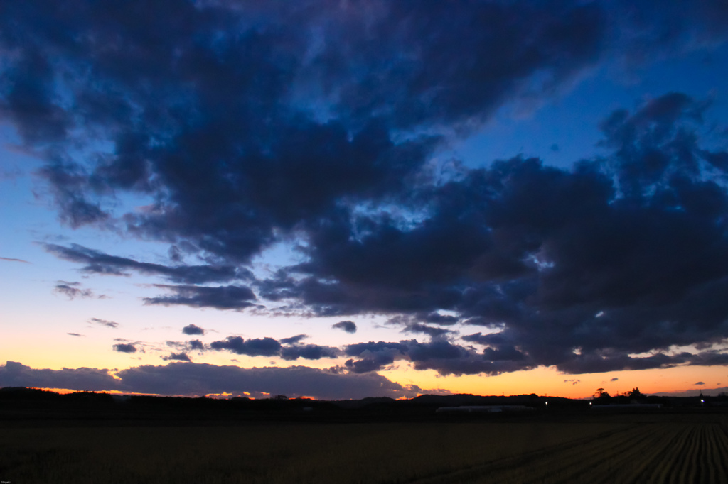 夕景