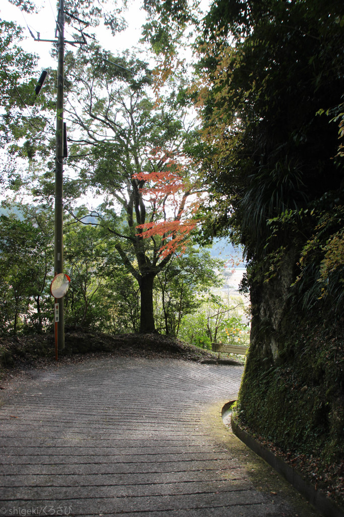 紅一点