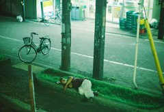 寝夏
