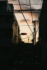 紅一点