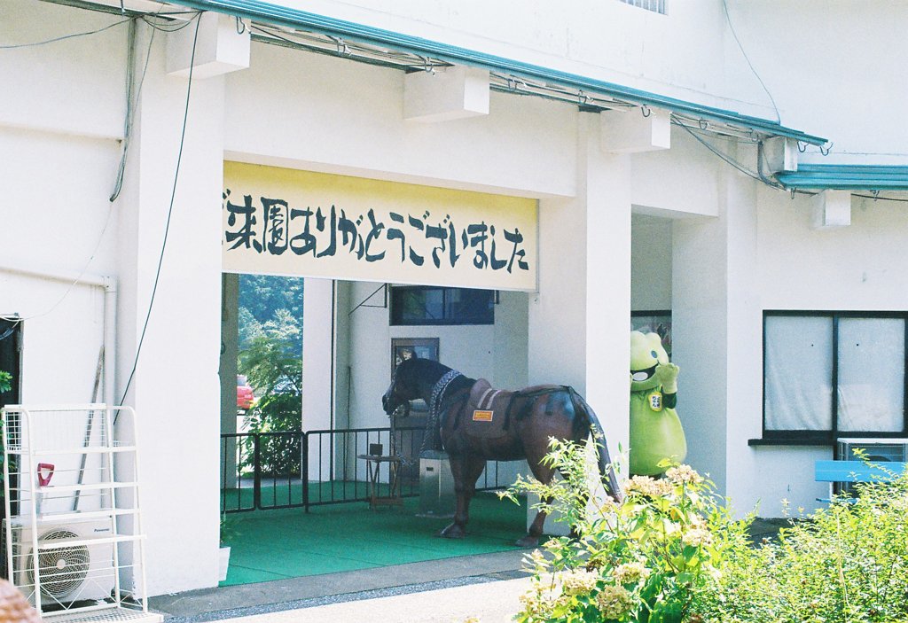 手を振るみどり