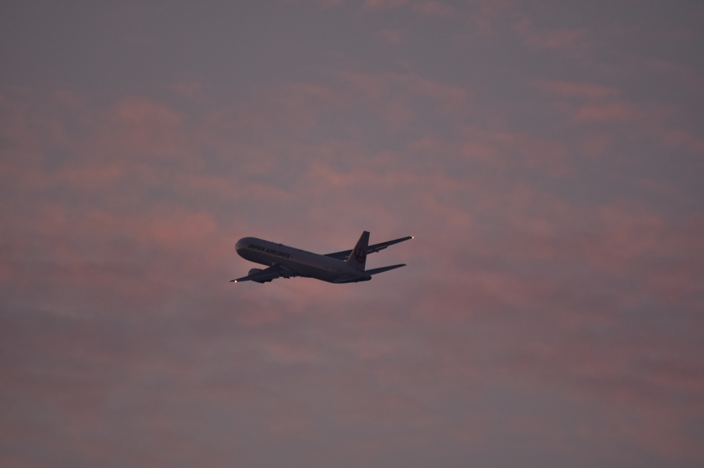 夕日２