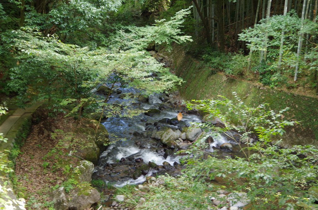川のせせらぎ