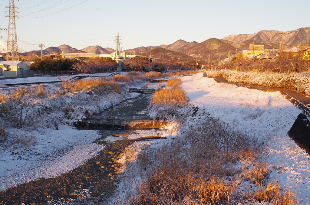 秦野 初雪