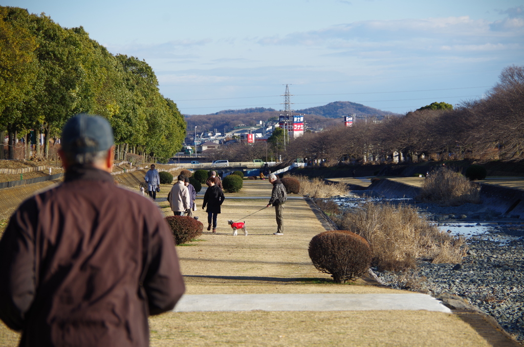 水無瀬川