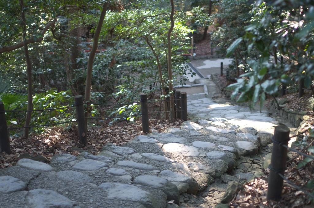 鎌倉 鶴岡八幡宮