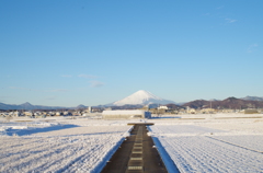 平塚 初雪&富士山