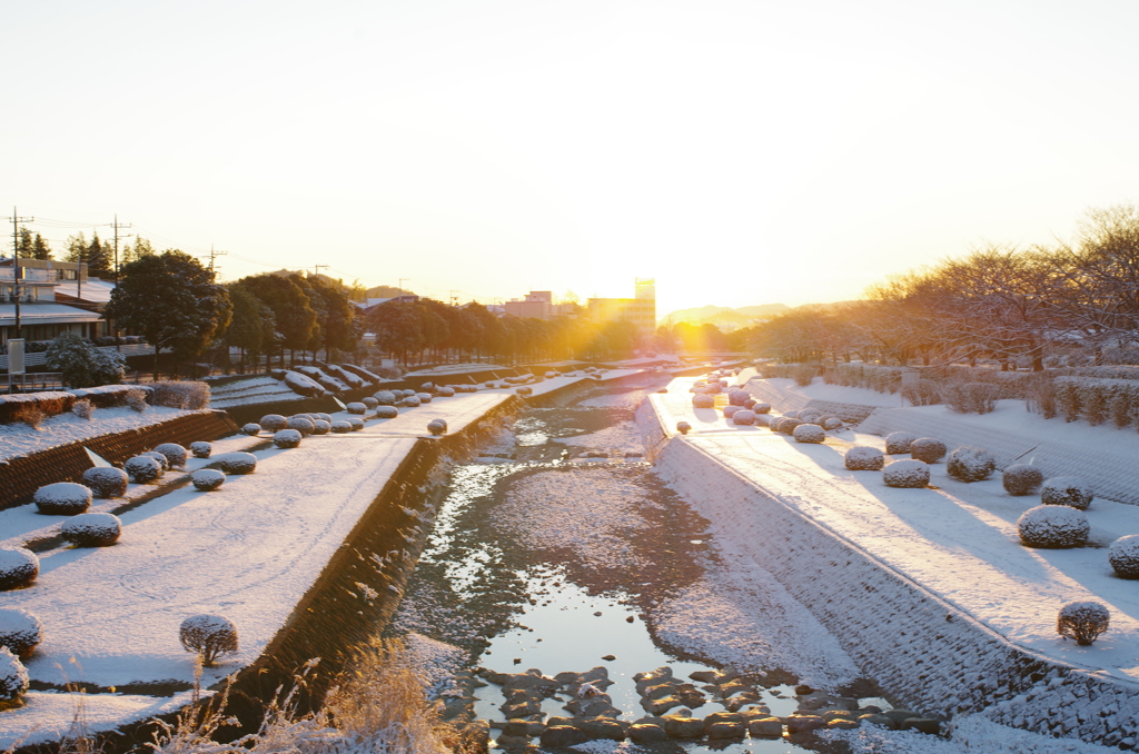 秦野 初雪