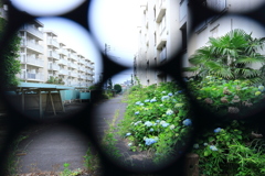 終焉