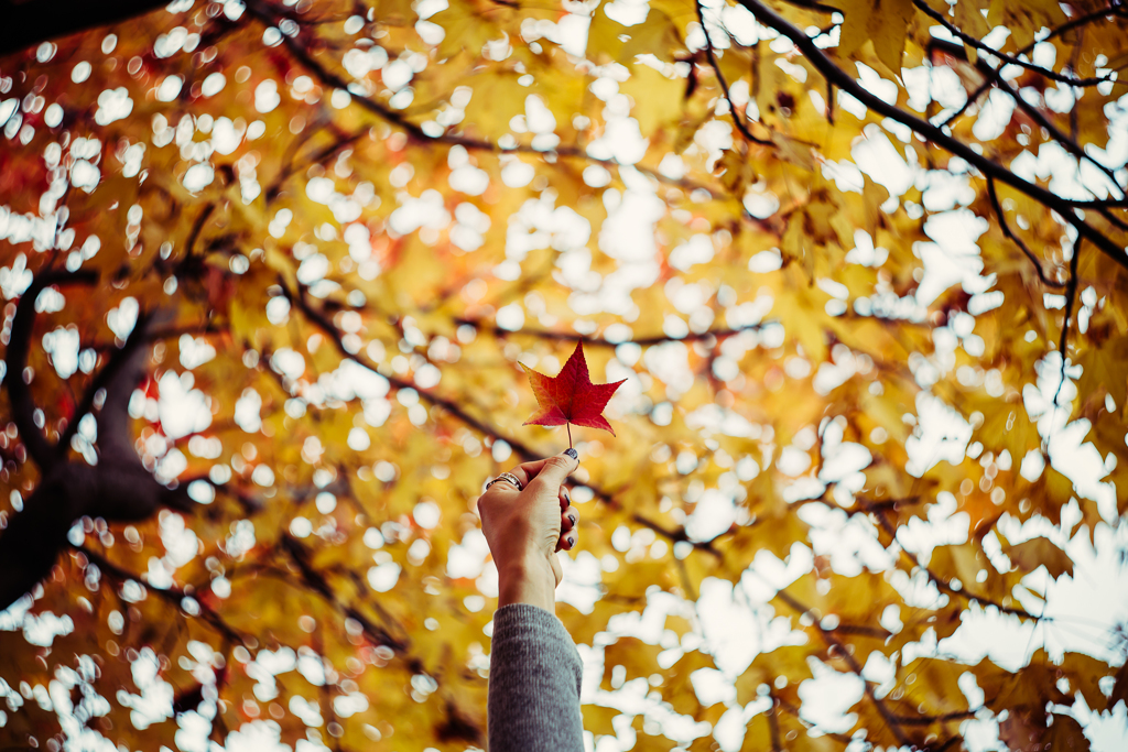 star★