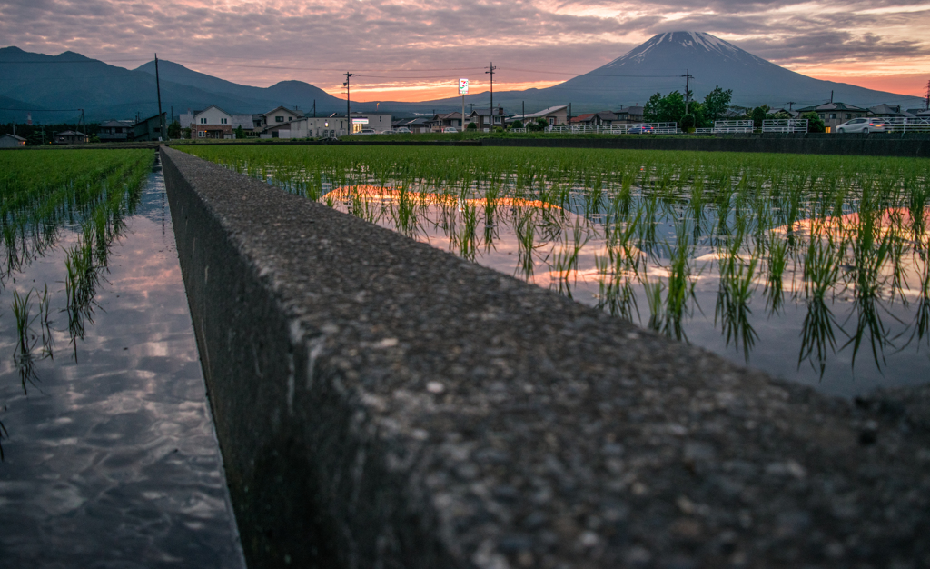 春から夏へ．