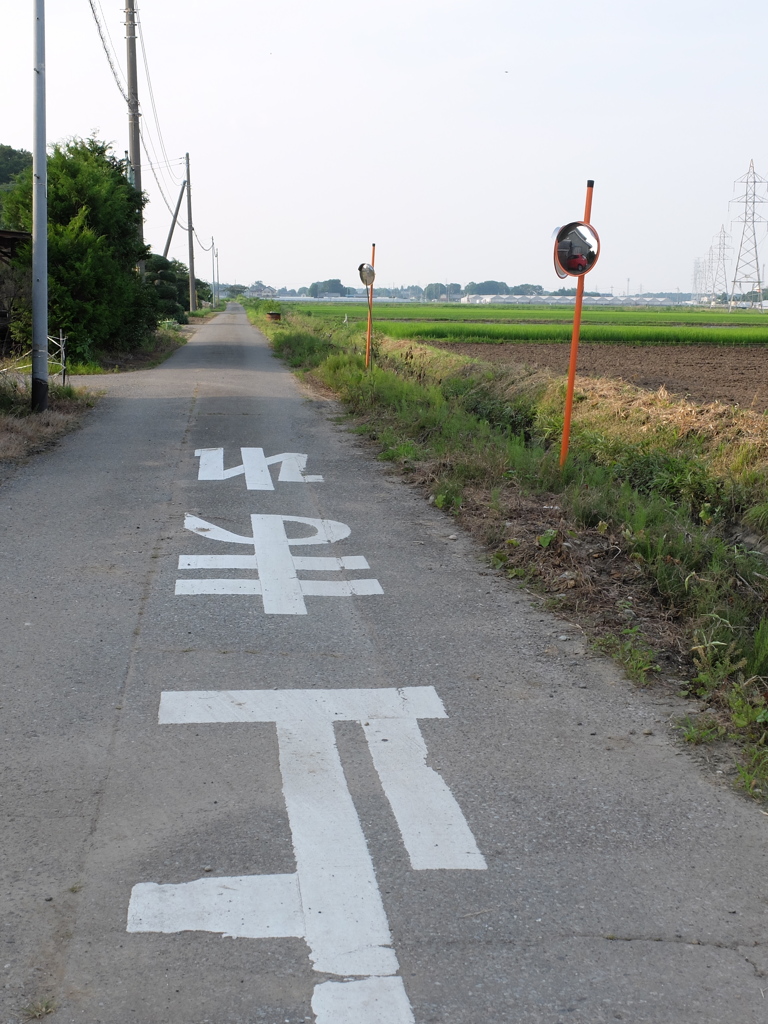路。