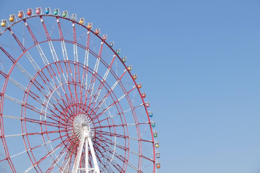 宙を廻る。