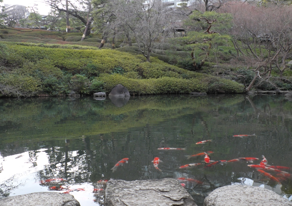 Pond.