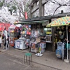 売店とさくら。