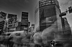 shibuya　street