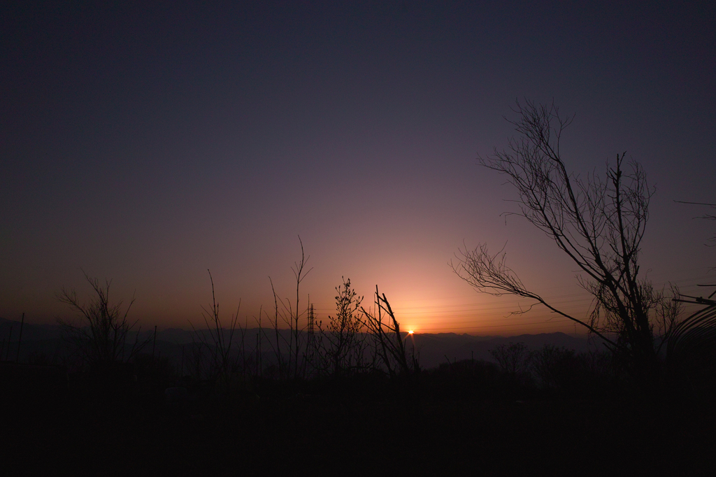sunset