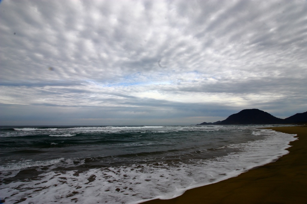 海