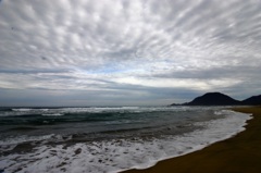 海