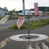 ホッケ
