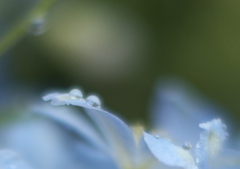 通り雨の跡