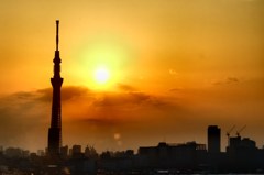 どこまでも高く