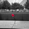 9.11