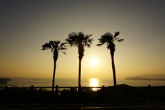 夕日
