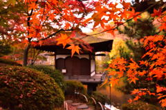 和歌山城　西の丸庭園