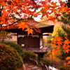 和歌山城　西の丸庭園
