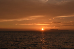 DSC_1514