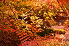 根来寺
