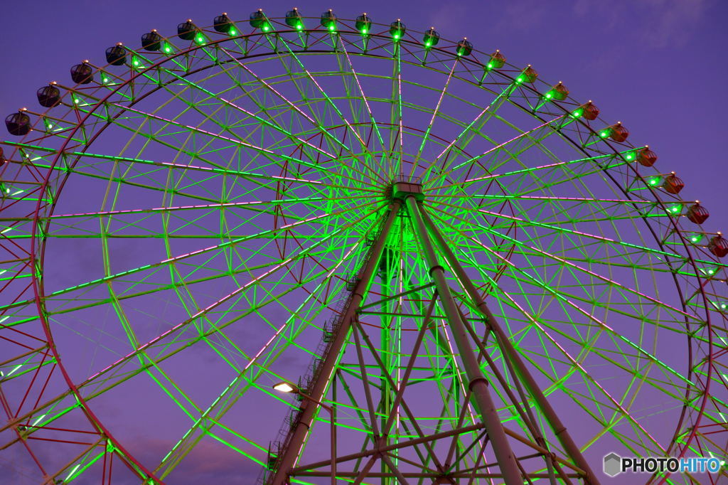 DSC_5641
