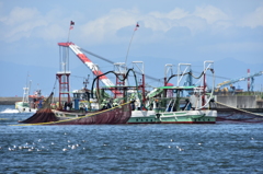 DSC_1349