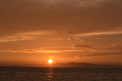 DSC_1512