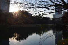 小石川後楽園