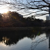小石川後楽園