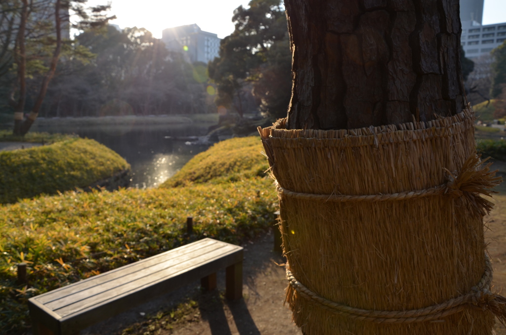 小石川後楽園