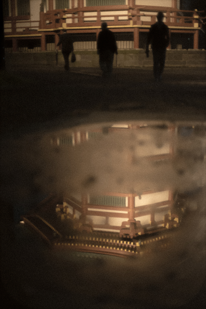 雨の弁天堂その１