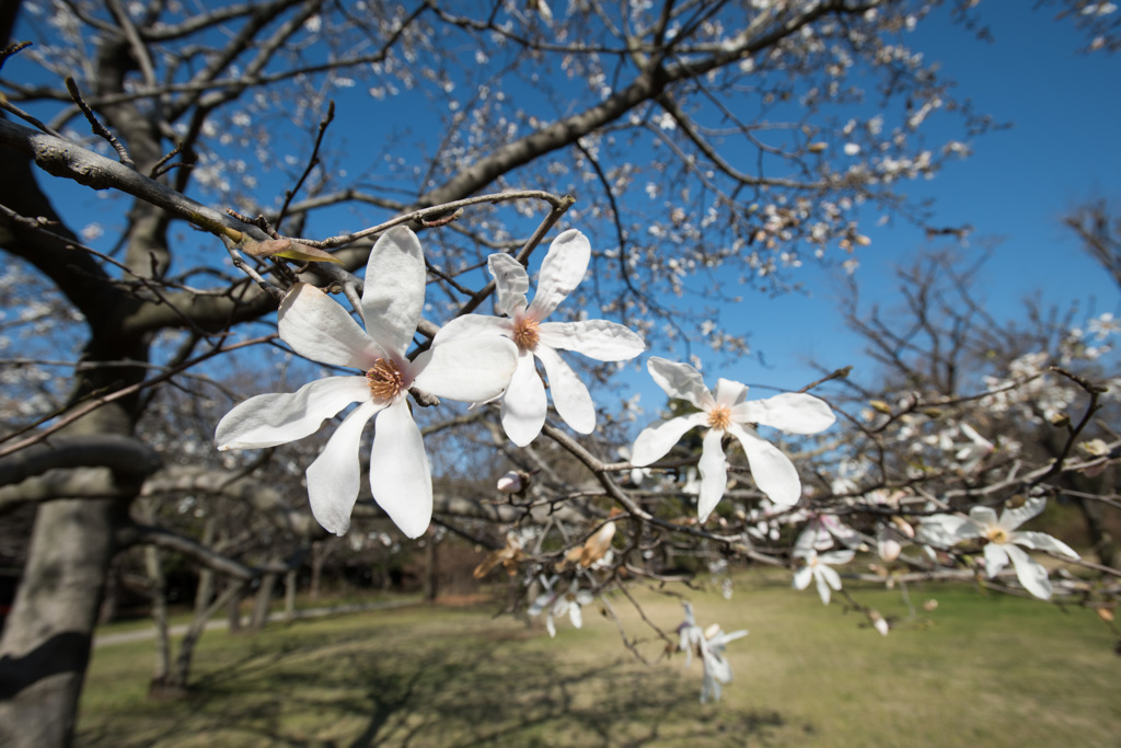 野鳥公園にて02
