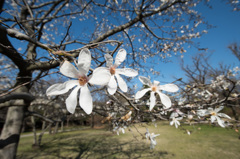 野鳥公園にて02