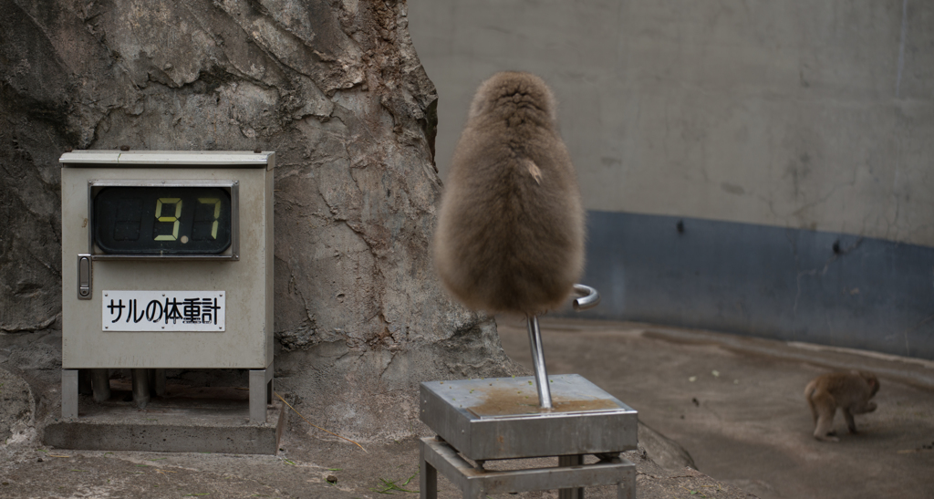 少し太ったかな？